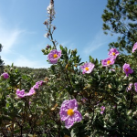 obraz_2022-01-05_224721